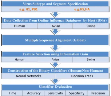 Fig. 2 provides a summary of the overall methodology  described above. It shows how the most important positions  in the cDNA data from each segment and subtype are used  in order to classify the Influenza A hosts