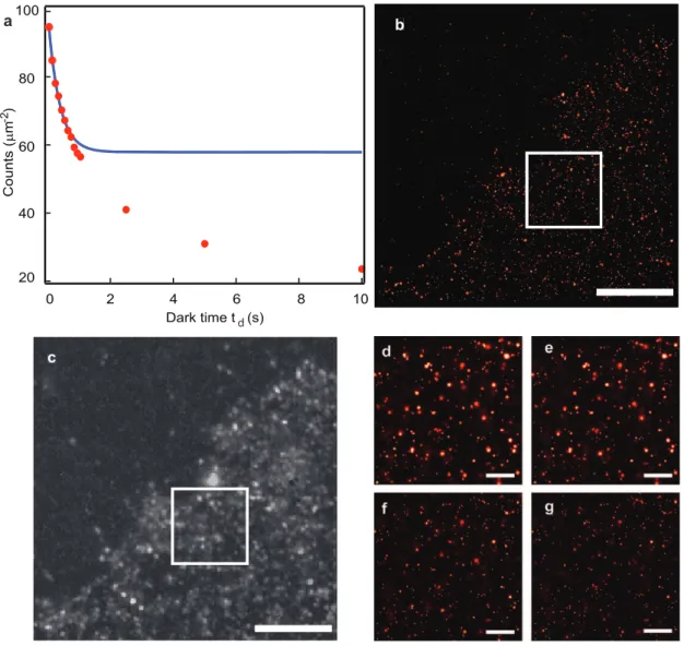 Figure S1 Single molecule kymographs. Typical single molecule kymographs of a mEos2 molecule in the red photo