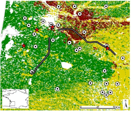 Fig. 1. Land cover map of the study area in south-western France (green = forest;