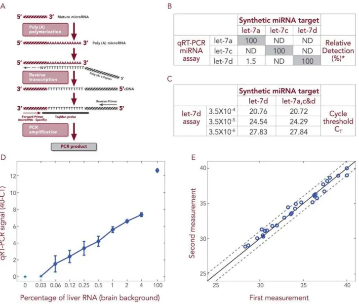 Figure 1. qRT-PCR can be used to monitor low microRNA levels specifically and sensitively