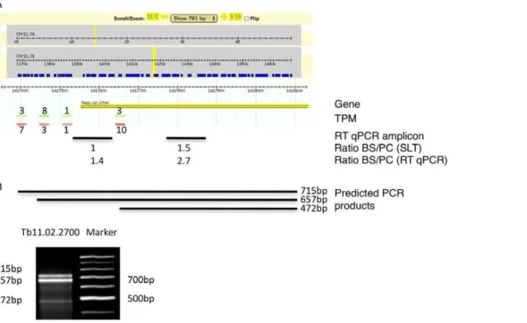 Figure 5. Example of an alternatively spliced transcript (Tb11.02.2700). (A) Display of the splicing profile for Tb11.02.2700 using Gbrowse.