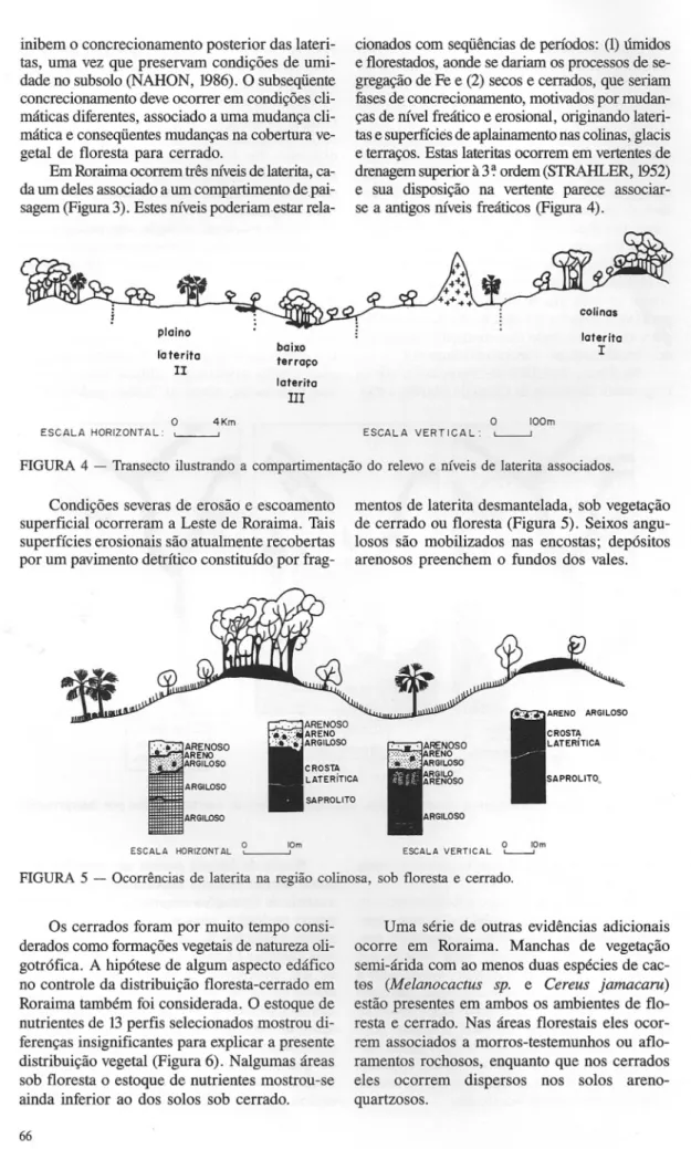 FIGURA 4 - Transecto ilustrando a compartimentação do relevo e níveis de laterita associados.
