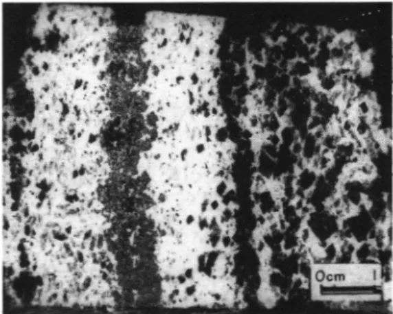 FOTO I - Estrutura fluidal do carbonatito em faixas diferenciadas pela proporção relativa entre os  mine-rais principais (dolomita e apatita) e por sua  granulo-metria, evidenciada na amostra alterada (face plana de amostra impregnada).