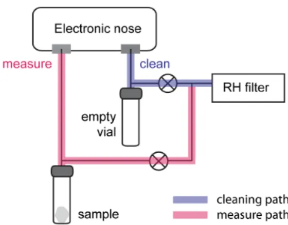 Figure 1. Schematic view of the headspace analysis system with an electronic nose. Two different flow paths are shown, one for the sample measurement phase, that passes though the vial containing the gauze exposed to skin VOCs and one used for flushing the