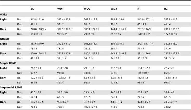 Table 5. Power density in the different band of the EEG during the different Wake-Sleep states.