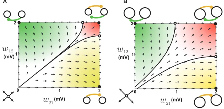 Figure 4. Dynamics of reciprocal synapses when STDP is potentiation dominated. A. When the baseline firing rates of the two neurons are both 20 Hz, an unstable fixed point exists out of the allowed range, schematically illustrated at the bottom left