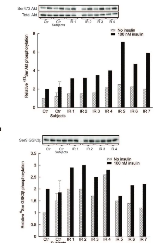 Figure 5. Effect of conditioned medium (CM) from insulin sensitive subjects and IR subjects on Akt and GSK3b phosphorylation in differentiated human myotubes