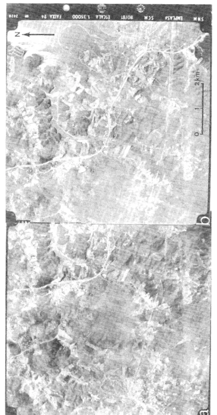 FIGURE 3 - Stereo-pair of the Colônia Astrobleme. Original scale of the photos 1:35,000.