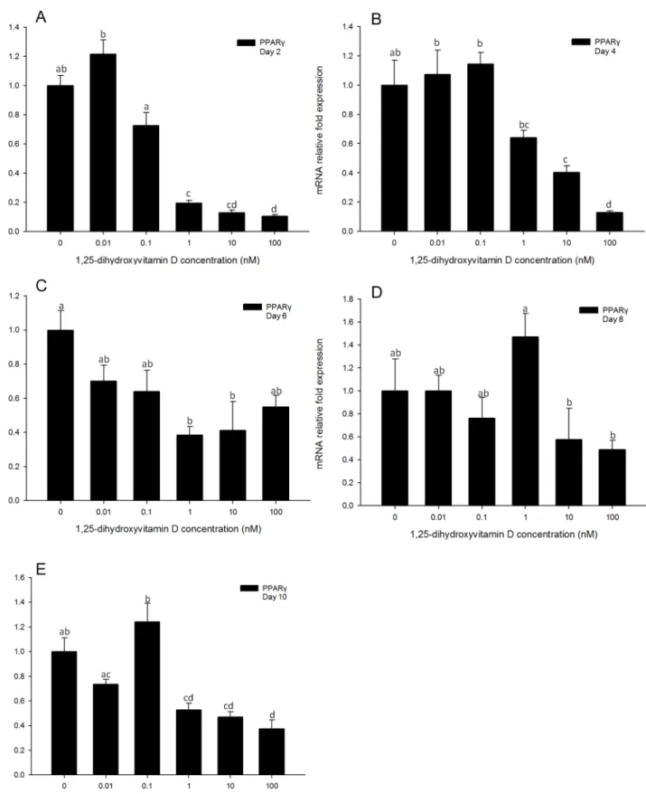 Fig 3. Real-time PCR quantification of PPARγ gene expression in 3T3-L1 cells on days 2 (A), 4 (B), 6 (C), 8 (D) and 10 (E)