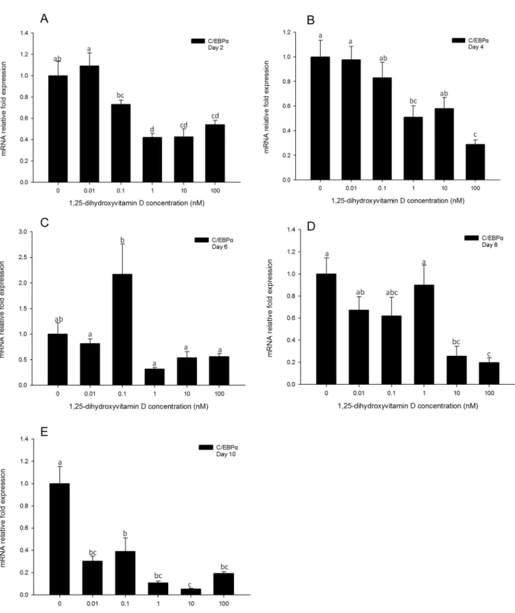 Fig 5. Real-time PCR quantification of C/EBPα gene expression in 3T3-L1 cells on days 2 (A), 4 (B), 6 (C), 8 (D) and 10 (E)