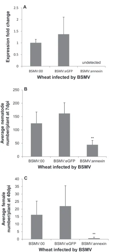 Fig 4. Effect of BSMV-HIGS of Ha-annexin on infection of wheat roots by H . avenae . (A) At 7 dpi, the expression of Ha-annexin in nematodes recovered from wheat inoculated by BSMV:annexin was not detected by qPCR with BSMV:00 and BSMV:eGFP as positive con