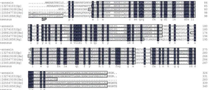 Fig 1. Multiple alignment of annexins from Heterodera avenae and some other plant-parasitic nematodes