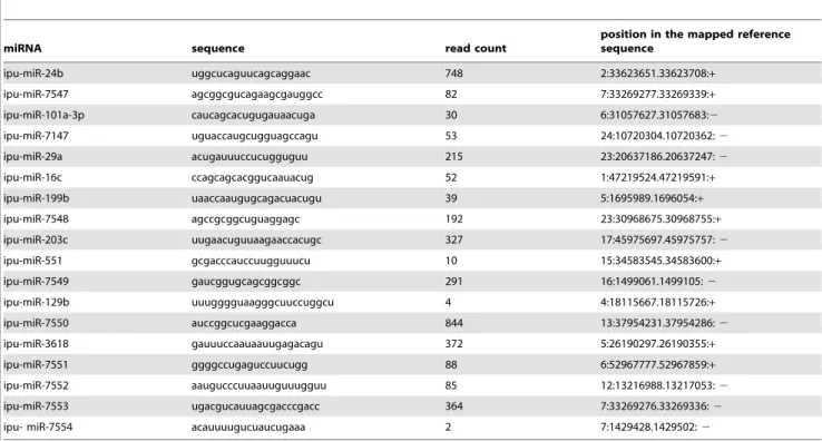 Table 1. Novel miRNAs identified in channel catfish with the genome of zebrafish.