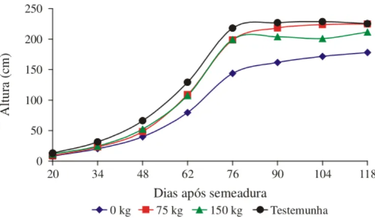 Figura 1.  Altura de planta de milho, para as doses de biossólidos, em função dos dias após semeadura