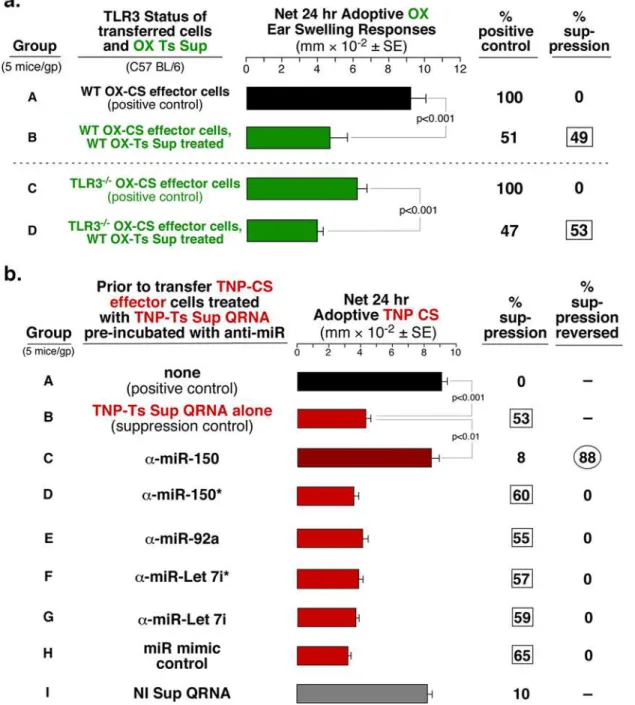 Fig 4. Suppression mediated by dsRNA is not TLR3-dependent and can be blocked by anti-miR to miR-150