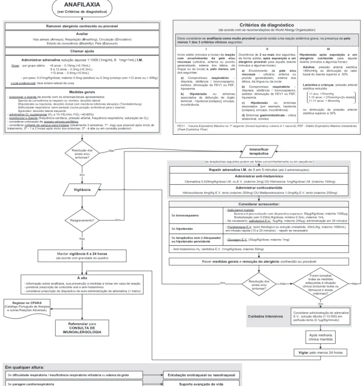 Figura 3 –  Algoritmo de diagnóstico e tratamento da anafilaxia. 