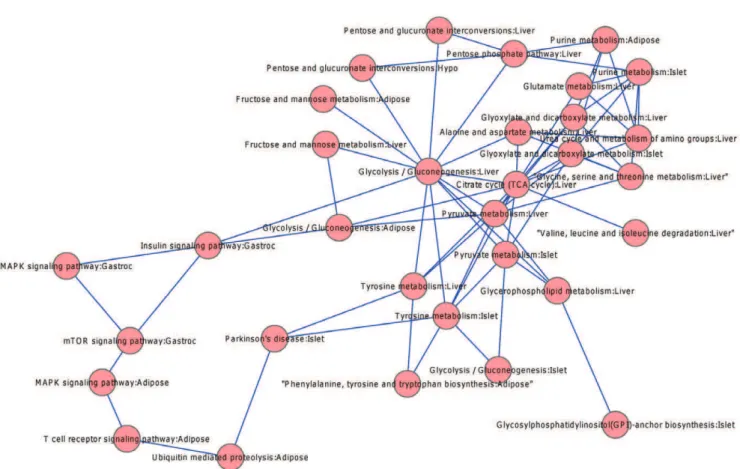 Figure 4. Core of the T2D trait-pathway network. Nodes are the top high-degree and high-betweenness pathways from Tables 4 and 5.