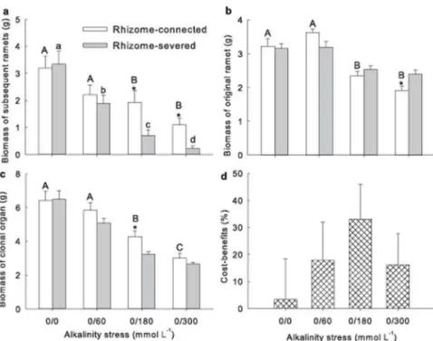 Fig 3. Effects of alkalinity stress and rhizome connection on a) the biomass of daughter and b) mother ramets, c) the total biomass of clonal organs and d) cost-benefits of clonal integration