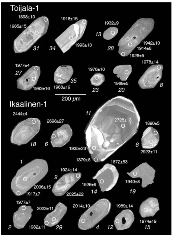 Fig. 8. Catholuminescence images of analysed zircon grains from the Vammala Metamorphic Belt.