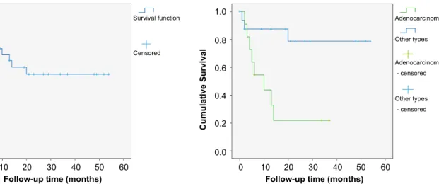 Figure 1 - Overall survival of all patients with malignant small bowel 