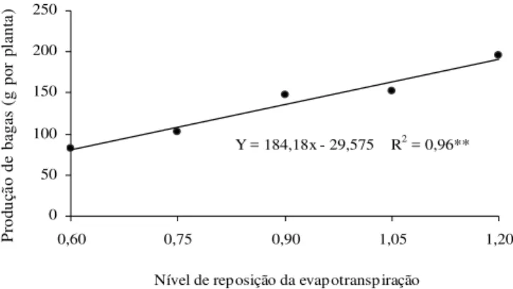 Figura 5.  Produção de bagas da mamoneira aos 174 dias após a semeadura DAS, em função do nível de reposição da evapotranspiração