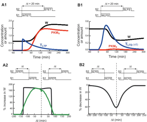Fig. 6 illustrates the dynamics and overlap of elevations in PKM levels and the LTP tag, in WTET – STET STC