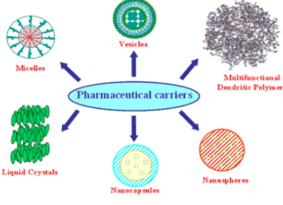 Figure 1: Drug Delivery carriers 