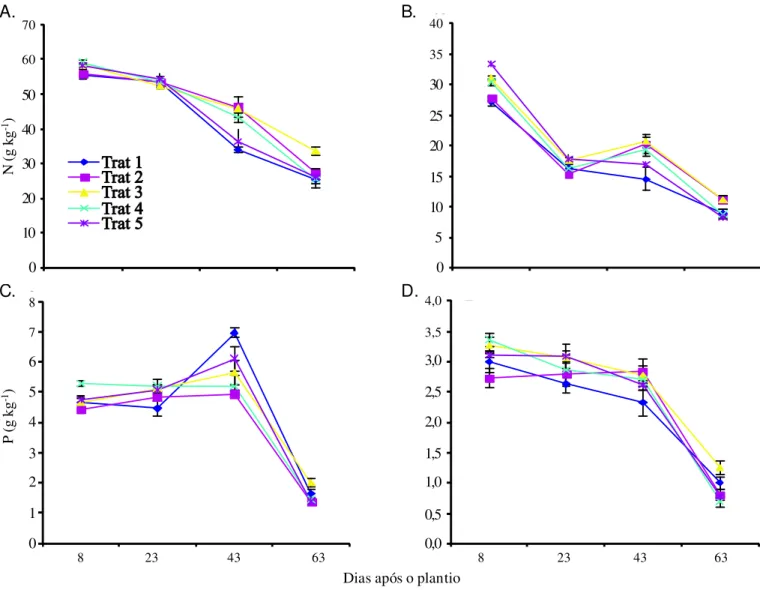 Figura 5.  Teores de N e P em folhas (A e C) e hastes (B e D) de plantas de feijão-de-corda, irrigadas com água salina em diferentes estádios de desenvolvimento.