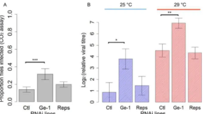 Fig 3. The effect of knocking down Ge-1 and Reps by RNAi on susceptibility to DMelSV. (A) Proportion of flies that were paralysed after exposure to CO 2 in control, Ge-1-RNAi and Reps-RNAi lines