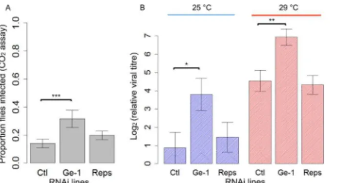 Fig 3. The effect of knocking down Ge-1 and Reps by RNAi on susceptibility to DMelSV. (A) Proportion of flies that were paralysed after exposure to CO 2 in control, Ge-1-RNAi and Reps-RNAi lines