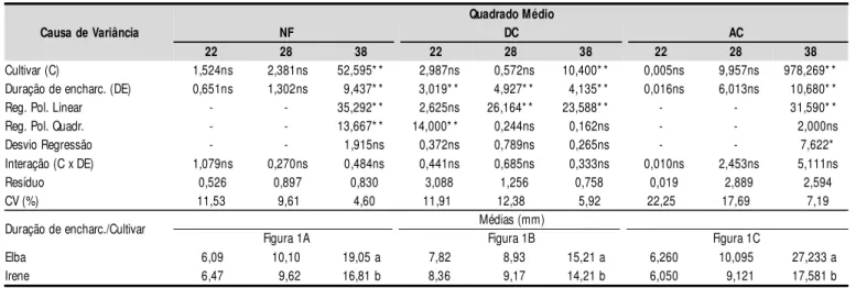 Figura 1A Figura 1B Figura 1C