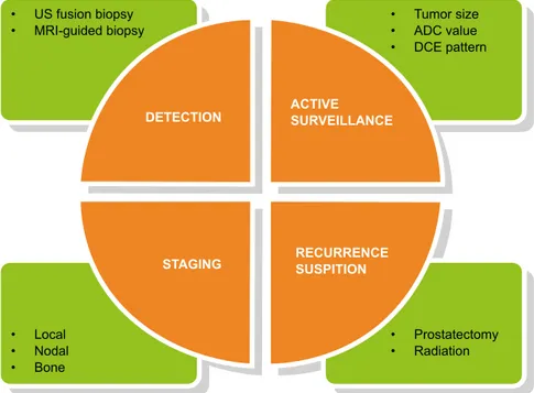 Figure 7 -Role of Multiparametric MRI on Prostate Cancer.