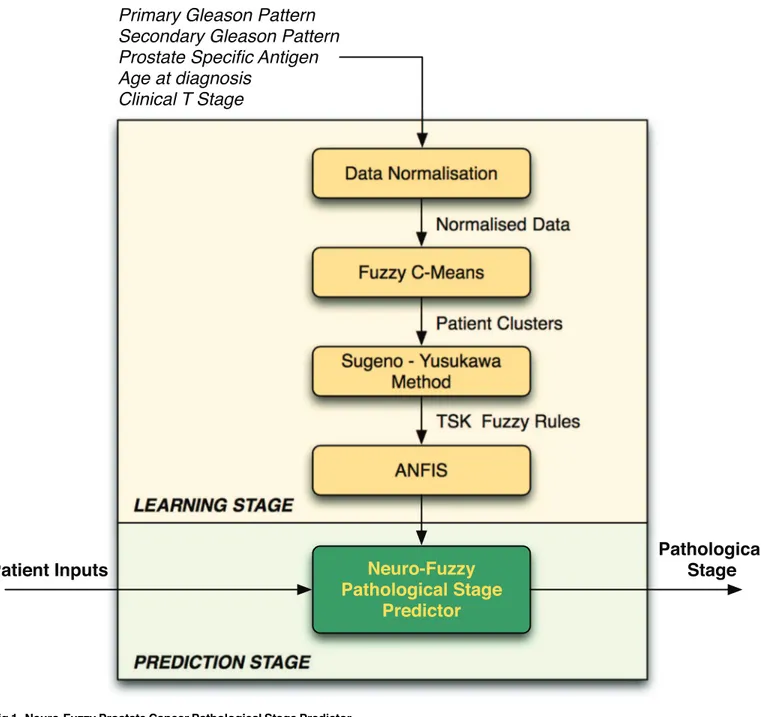 Fig 1. Neuro-Fuzzy Prostate Cancer Pathological Stage Predictor.