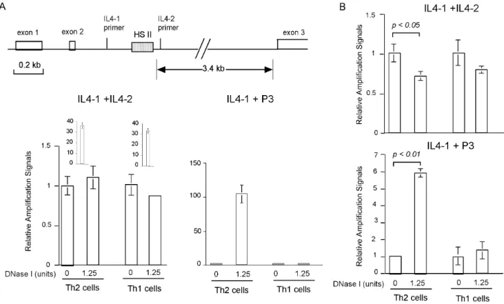Figure 8. Detection of the HS II site of the IL-4 gene in Th2 and Th1 cells. A. Detection of HS II site using DHS libraries as templates