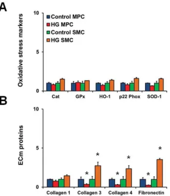 Figure 4. Gene expression profiles of bmMPCs. Cells were cultured in 5 mmol/L (control) or 25 mmol/L (high glucose; HG) glucose for up to 14 days