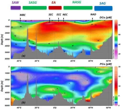 Fig. 4. Interpolated vertical sections of (a) dissolved cobalt (DCo, pM) and (b) apparent partic- partic-ulate cobalt (PCo, pM) based on 675 analyses for DCo and 203 analyses for PCo, along the GEOTRACES-A02 section in the West Atlantic