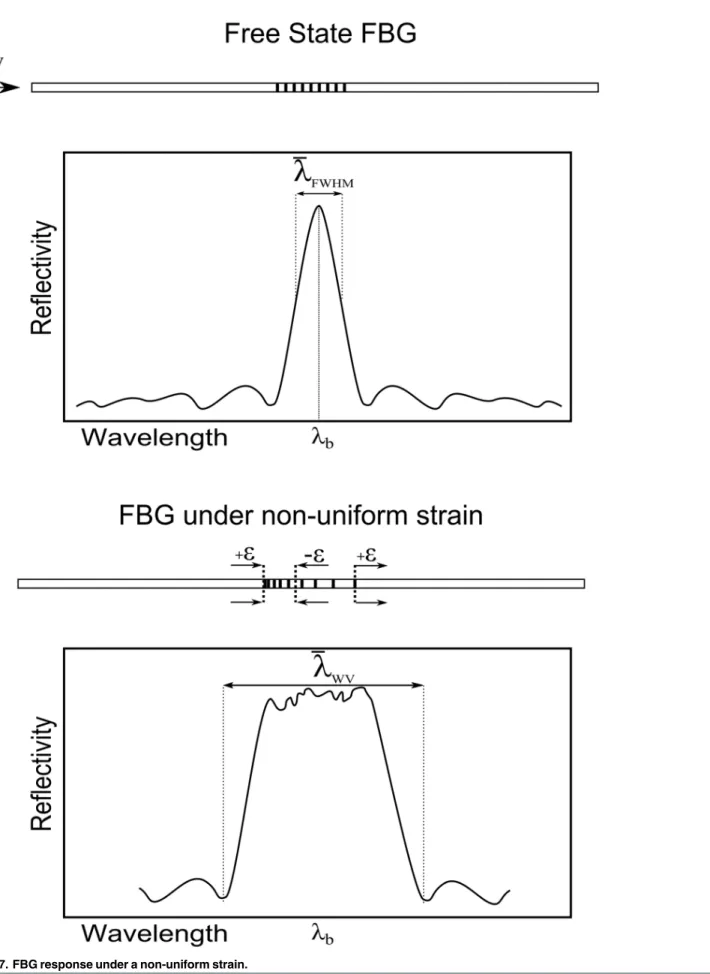 Fig 7. FBG response under a non-uniform strain.