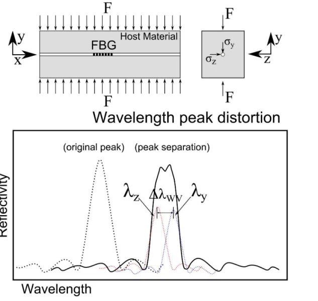 Fig 6. FBG response under a transverse force: Birefringent effect.