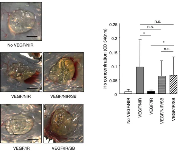 Figure 8. Radiation activates the TGF-bRI/ALK5 pathway and ALK5 inhibition prevents radiation-induced suppression of migration and sprouting