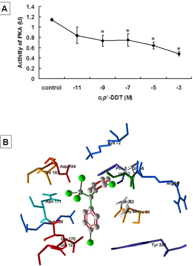 Figure 6. Direct inhibition of PKA activity by o,p’ -DDT. (A) o,p’-DDT at concentration of 10 211 to 10 23 M was incubated with 1.25 U purified active catalytic subunit of PKA (control enzyme provided in the PKA PepTag Assay kit)