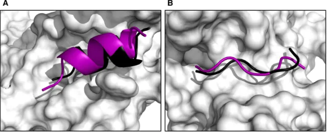 Figure 7. Examples of HADDOCK best models for the challenging unbound/unbound cases. The PDB-id as well as difficulty, peptide length, rank and i-RMSD values are indicated for each case