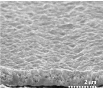 Figure 2. Raman features of the BiFeO 3  ilm deposited on  steel substrate