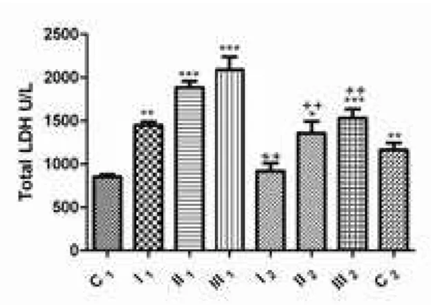 figure 10. Total lDH activity in sheep blood plasma before and after dehelminthization: group  with mild intensity of infection (I 1  – before and I 2  – after dehelminthization), group  with moderate intensity of infection (II 1  – before and II 2  – afte