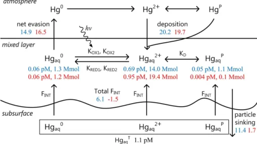 Figure 6. Global ocean mercury budget modeled by GEOS-Chem. Blue color indicates the reference simulation and red color the parameter inversion