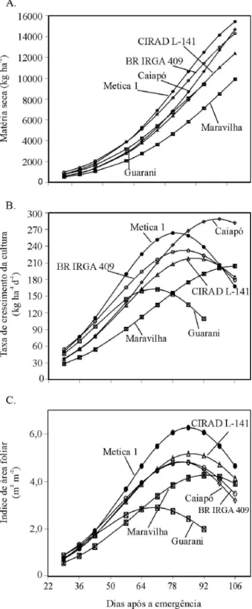 Figura 1.  Acúmulo  de matéria seca, taxa de crescimento da cultura e índice de área  fol iar  das  culti vares  de  arroz  Guarani,  Caiapó,  CIRAD   L-141, M aravilha, BR  IRGA 409 e  M etica 1