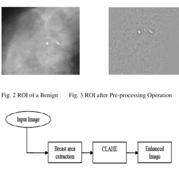 Fig. 2 ROI of a Benign       Fig. 3 ROI after Pre-processing Operation              