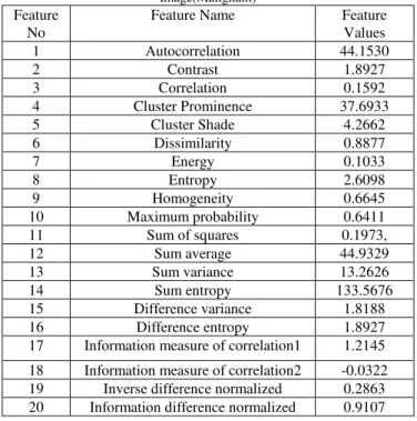 Table 3 : GLCM Features and values Extracted from Mammogram  Image(Malignant) 