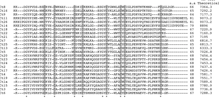 Figure 5. Sequence alignments of putative K + -channel toxins of C. tecomanus . A: sequence alignment of putative alpha-toxins found in the cDNA library of C