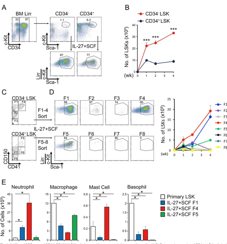 Fig 4. IL-27 and SCF expand CD34 − CD150 + LSK cells into multipotent myeloid progenitor cells