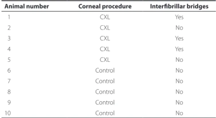 Table 4. Mann-Whitney U-test p-values for the various clinical parameters  evaluated at the diferent time-points following the injury procedure